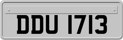 DDU1713