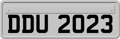DDU2023