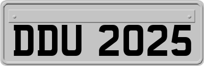 DDU2025