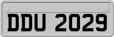 DDU2029