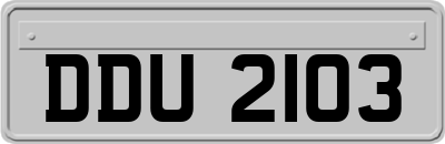 DDU2103