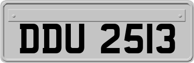 DDU2513