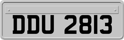 DDU2813