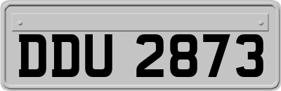 DDU2873