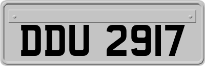 DDU2917