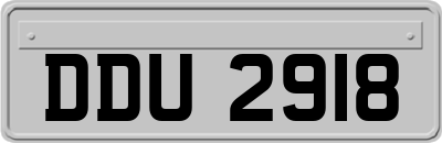DDU2918