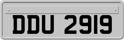 DDU2919