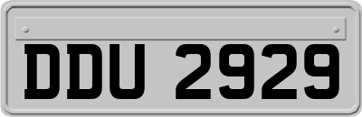 DDU2929
