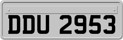 DDU2953