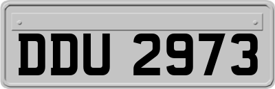 DDU2973