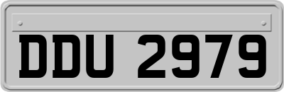 DDU2979