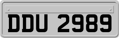 DDU2989
