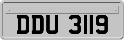 DDU3119