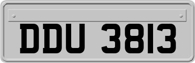 DDU3813