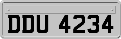 DDU4234