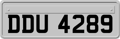 DDU4289