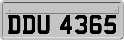 DDU4365