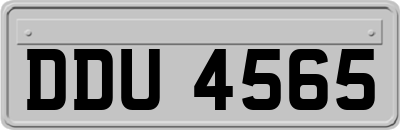 DDU4565