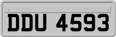 DDU4593