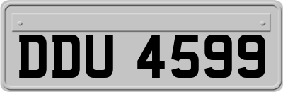 DDU4599