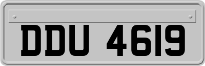 DDU4619