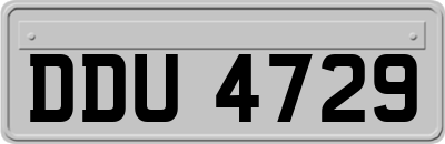 DDU4729