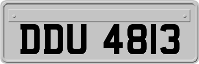 DDU4813
