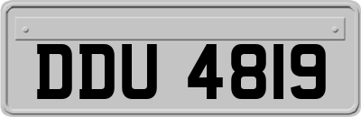 DDU4819