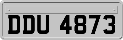DDU4873