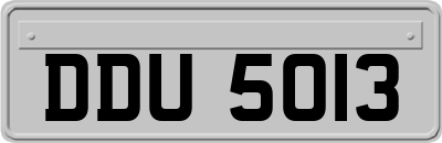 DDU5013