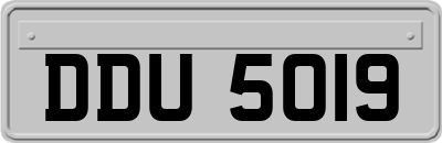 DDU5019