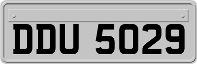 DDU5029