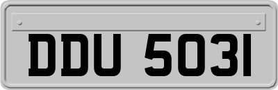 DDU5031