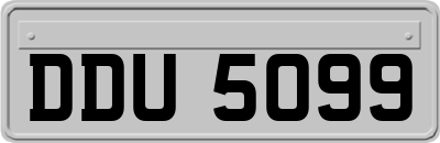 DDU5099