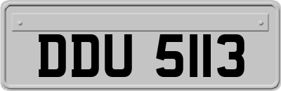 DDU5113