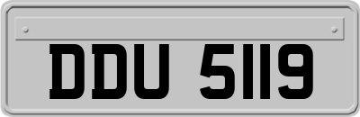 DDU5119