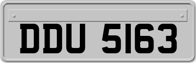 DDU5163