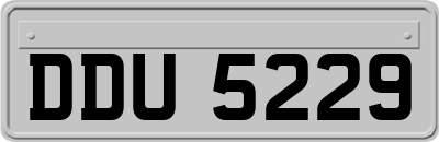 DDU5229