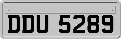 DDU5289