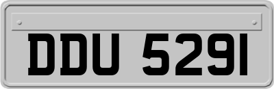 DDU5291