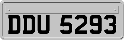 DDU5293
