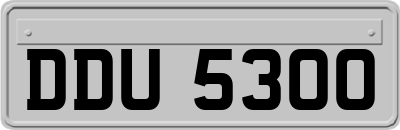 DDU5300