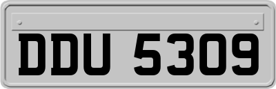 DDU5309