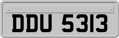 DDU5313