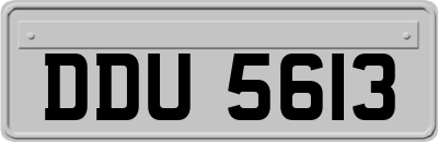 DDU5613