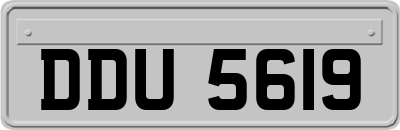 DDU5619