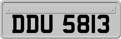 DDU5813