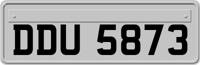 DDU5873