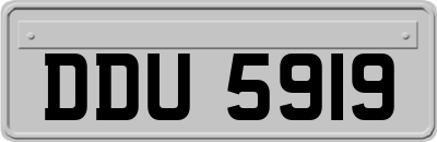 DDU5919