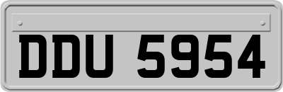 DDU5954
